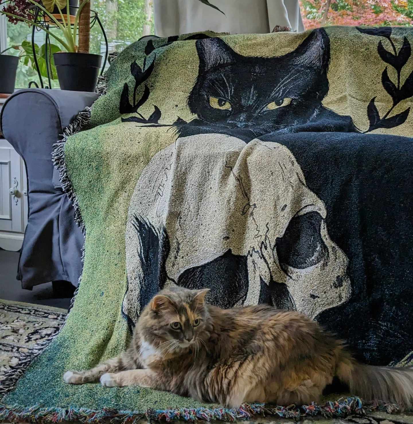 Black Cat Lover Bundle