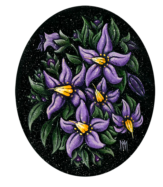 Deadly Nightshade Giclee Print
