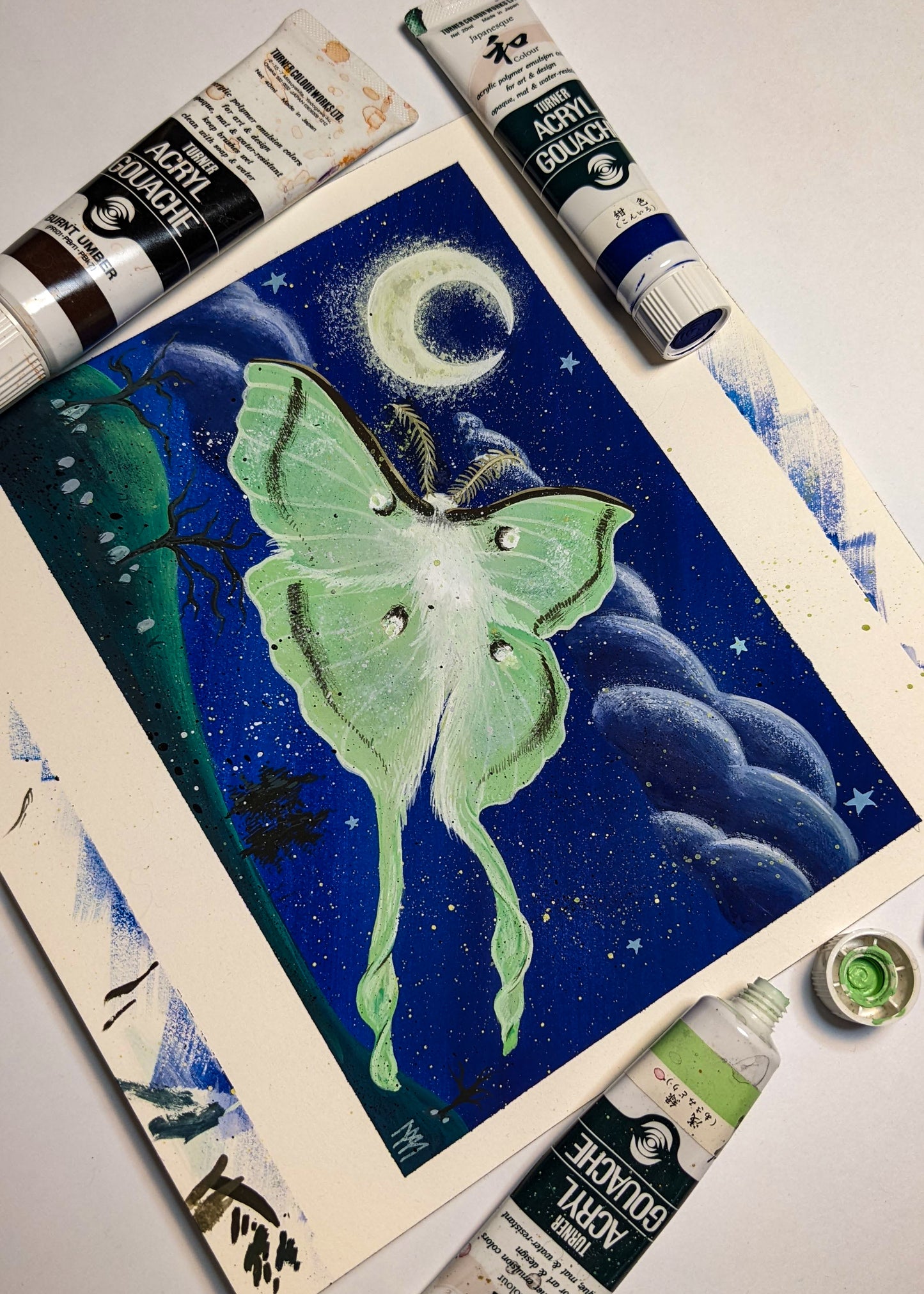 June Patreon Exclusive - Luna Moth